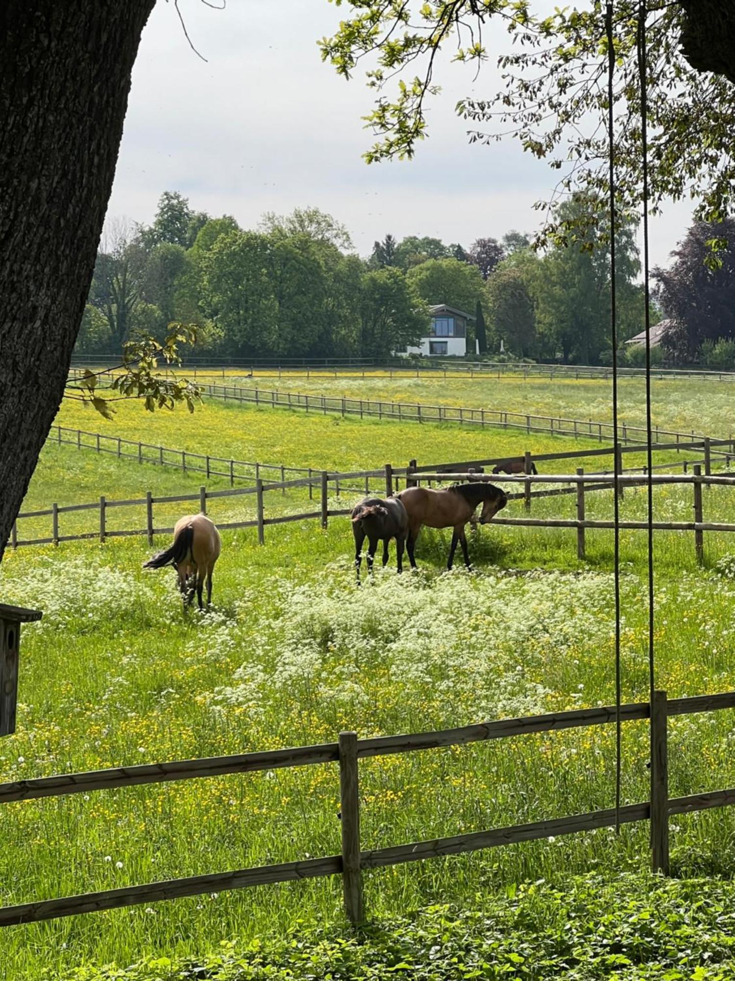 Herrenhaus - Starnberger See - Ammerland Münsing Екстериор снимка