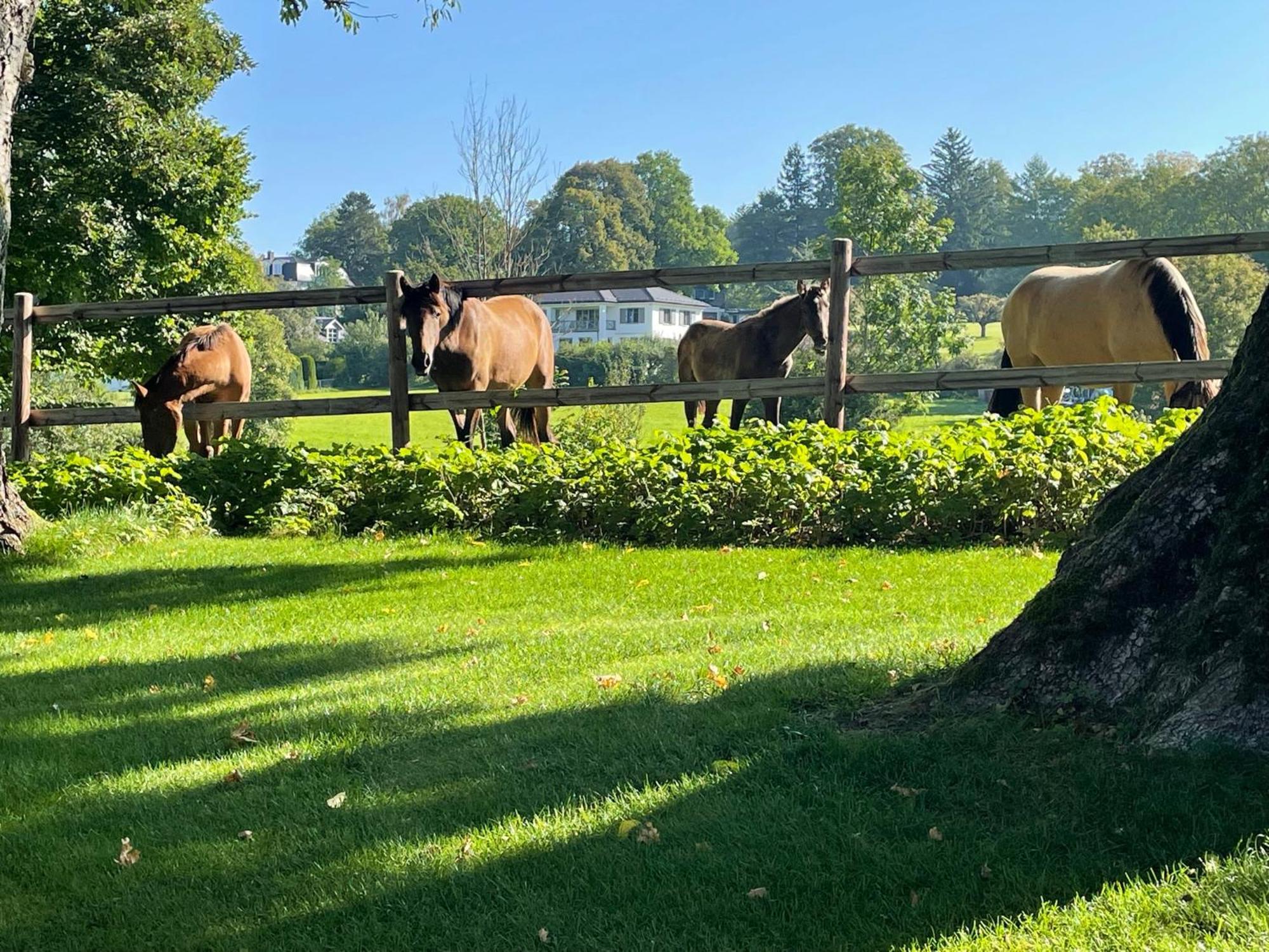 Herrenhaus - Starnberger See - Ammerland Münsing Екстериор снимка